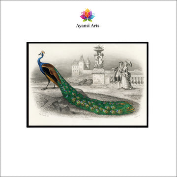 Regal Peacock Promenade Canvas Digital Painting - Vintage Estate Scene