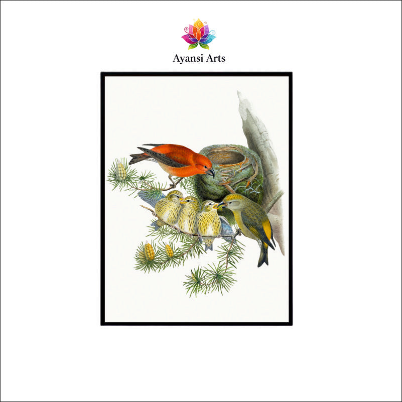 Crossbill Family Nest - Avian Serenity Canvas Art by Ayansi Art