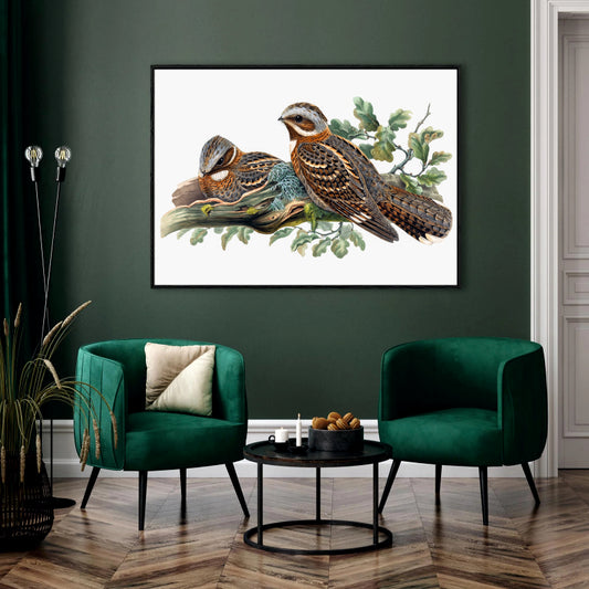 Nightjar Duo Canvas Digital Painting - Perched Birds with Oak Leaves